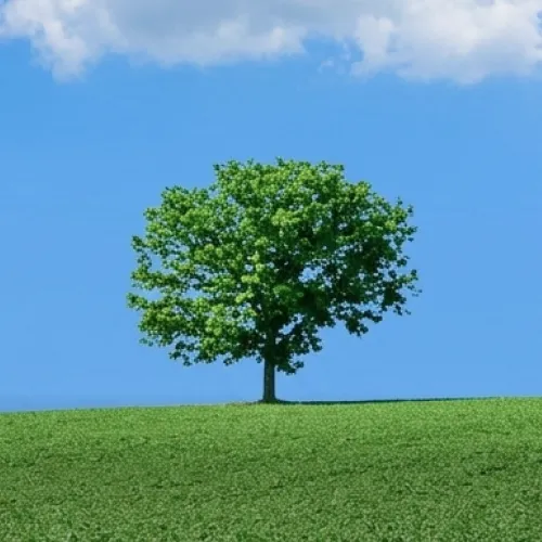 お問い合わせページへ